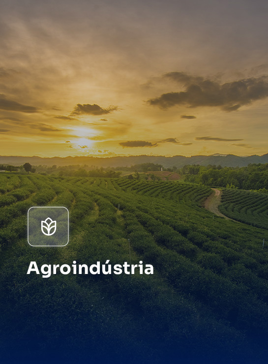 Serviço - Agroindústria 2