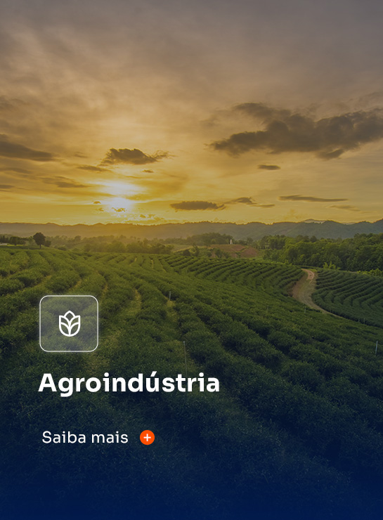Serviço - Agroindústria